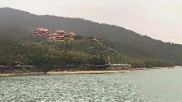 找闲聊散步搭子
