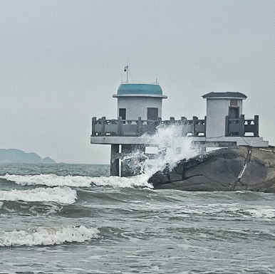 找闲聊散步搭子