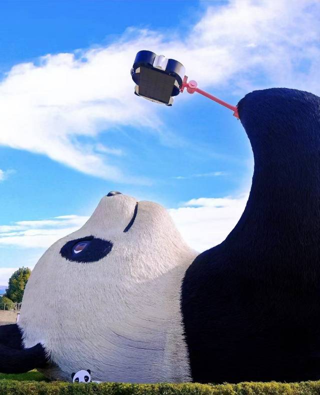 找图书馆学习搭子