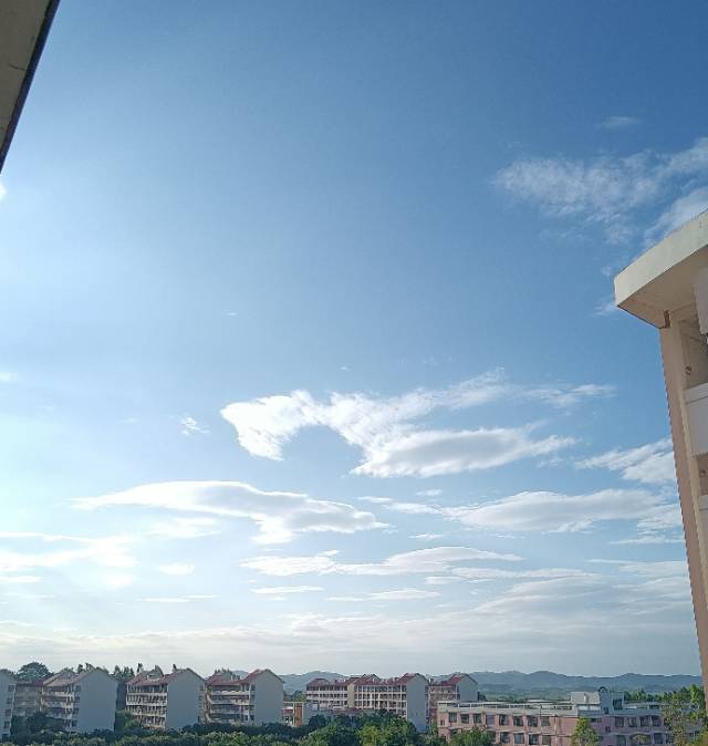 找学习搭子
