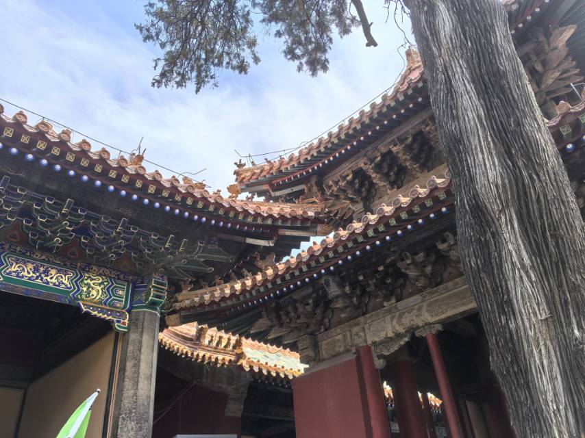 找运动搭子
