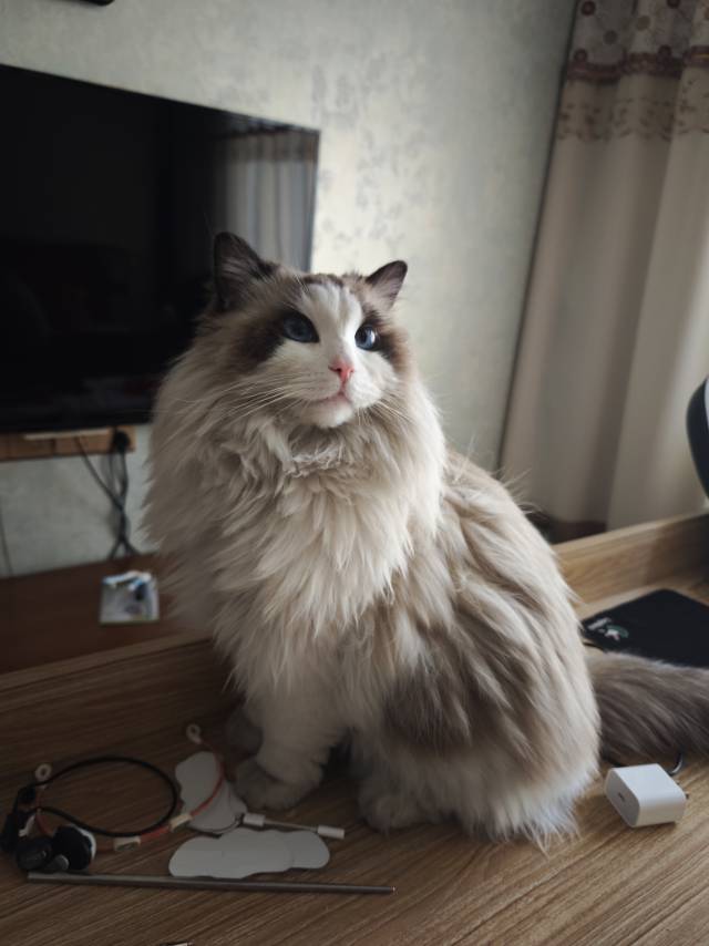 找麻将搭子