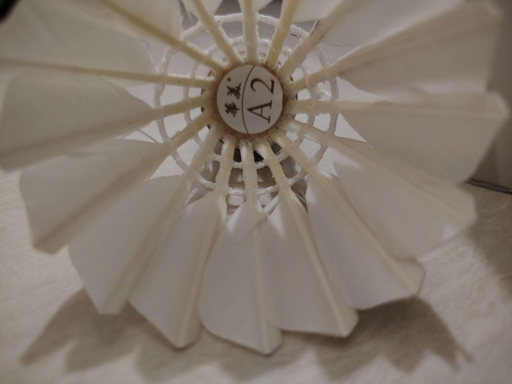 找外向搭子