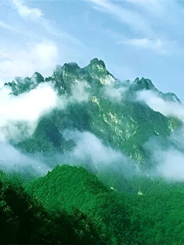 找游玩搭子