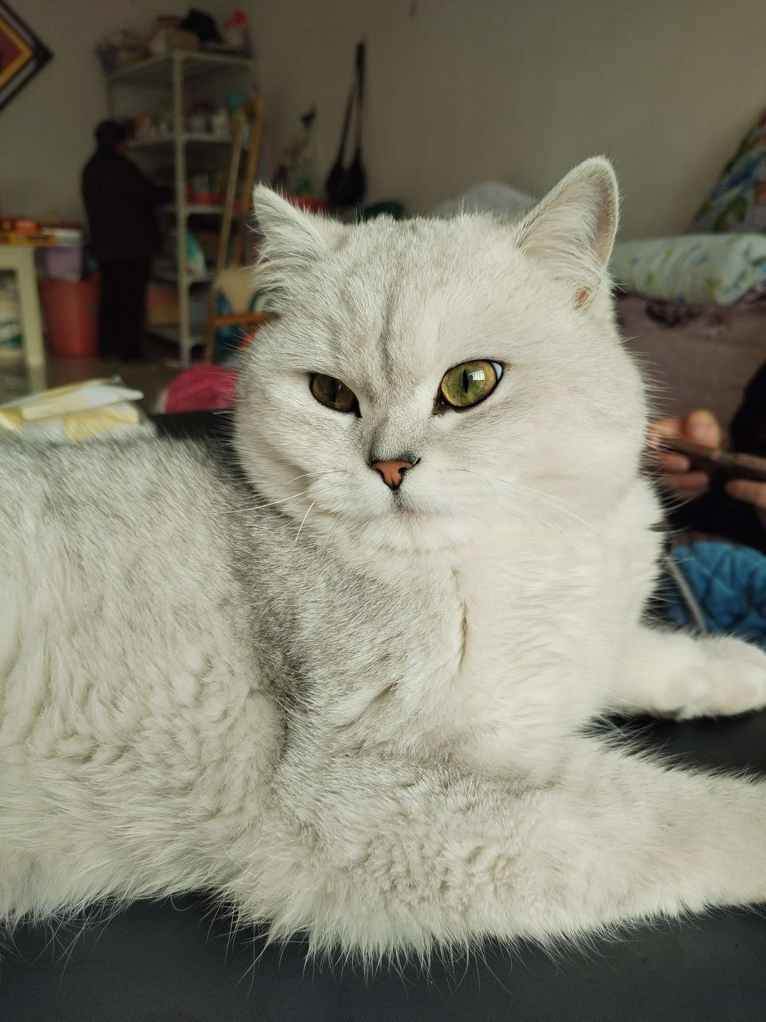 找运动搭子