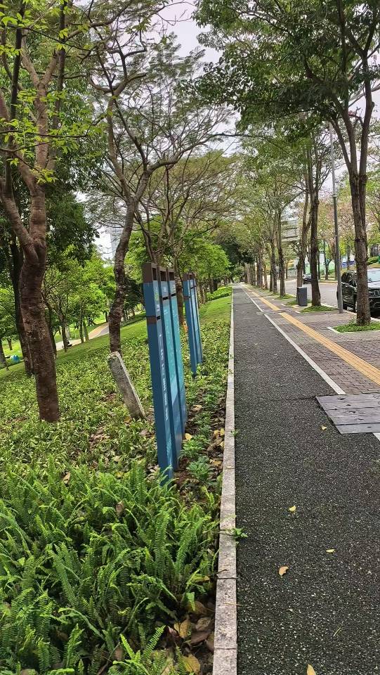 找运动搭子