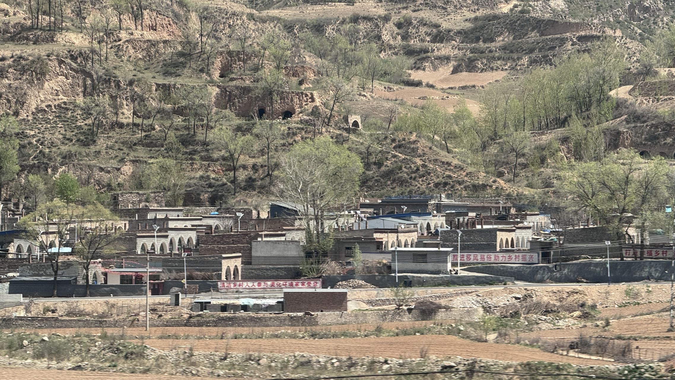 找旅游搭子