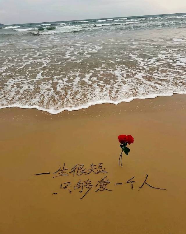 找玩耍搭子