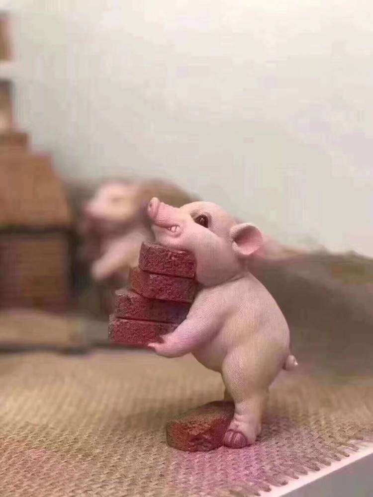 找搭子