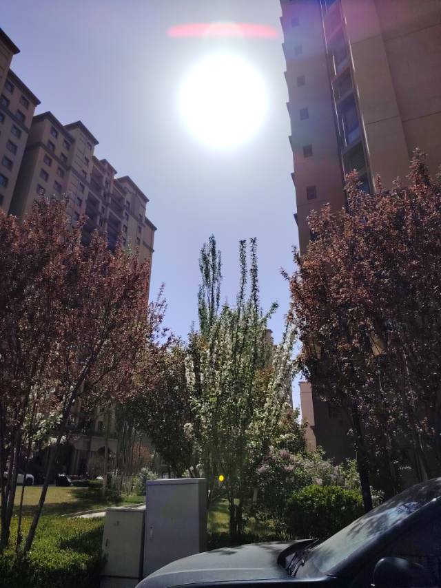 找运动搭子