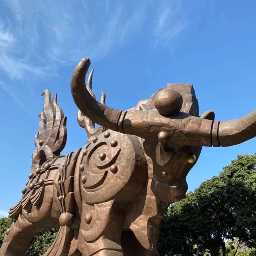 找旅游搭子