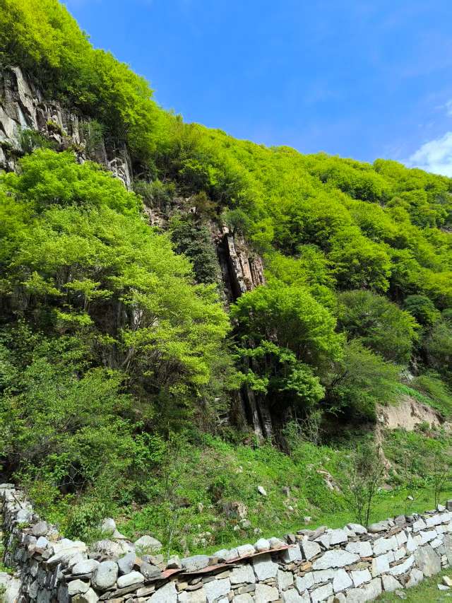 找旅居搭子