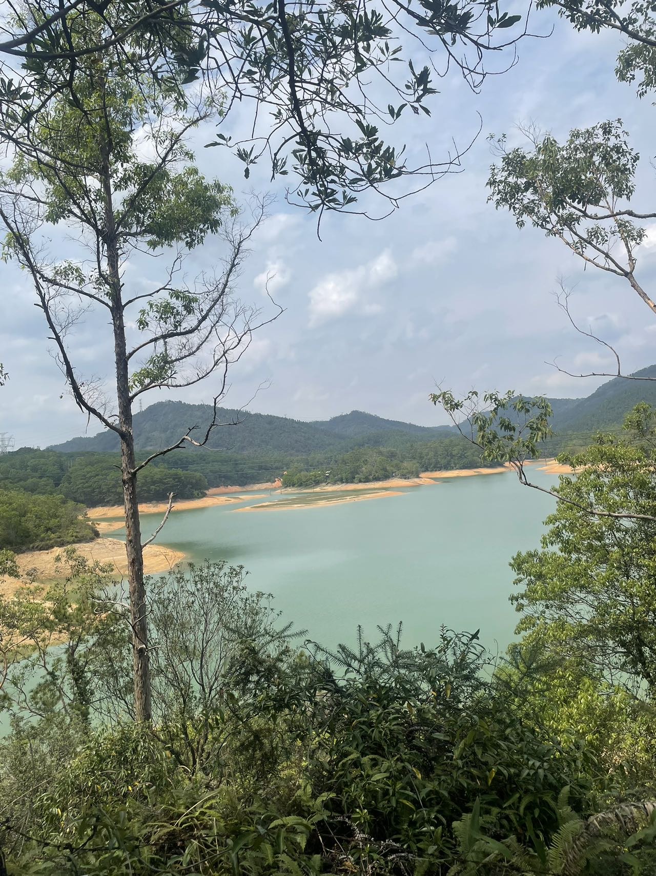 找旅游搭子
