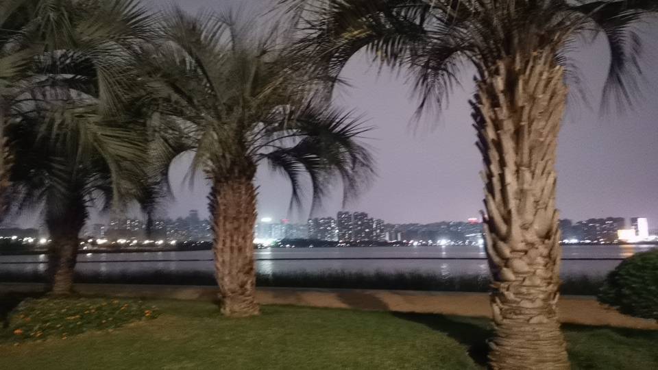 找运动搭子
