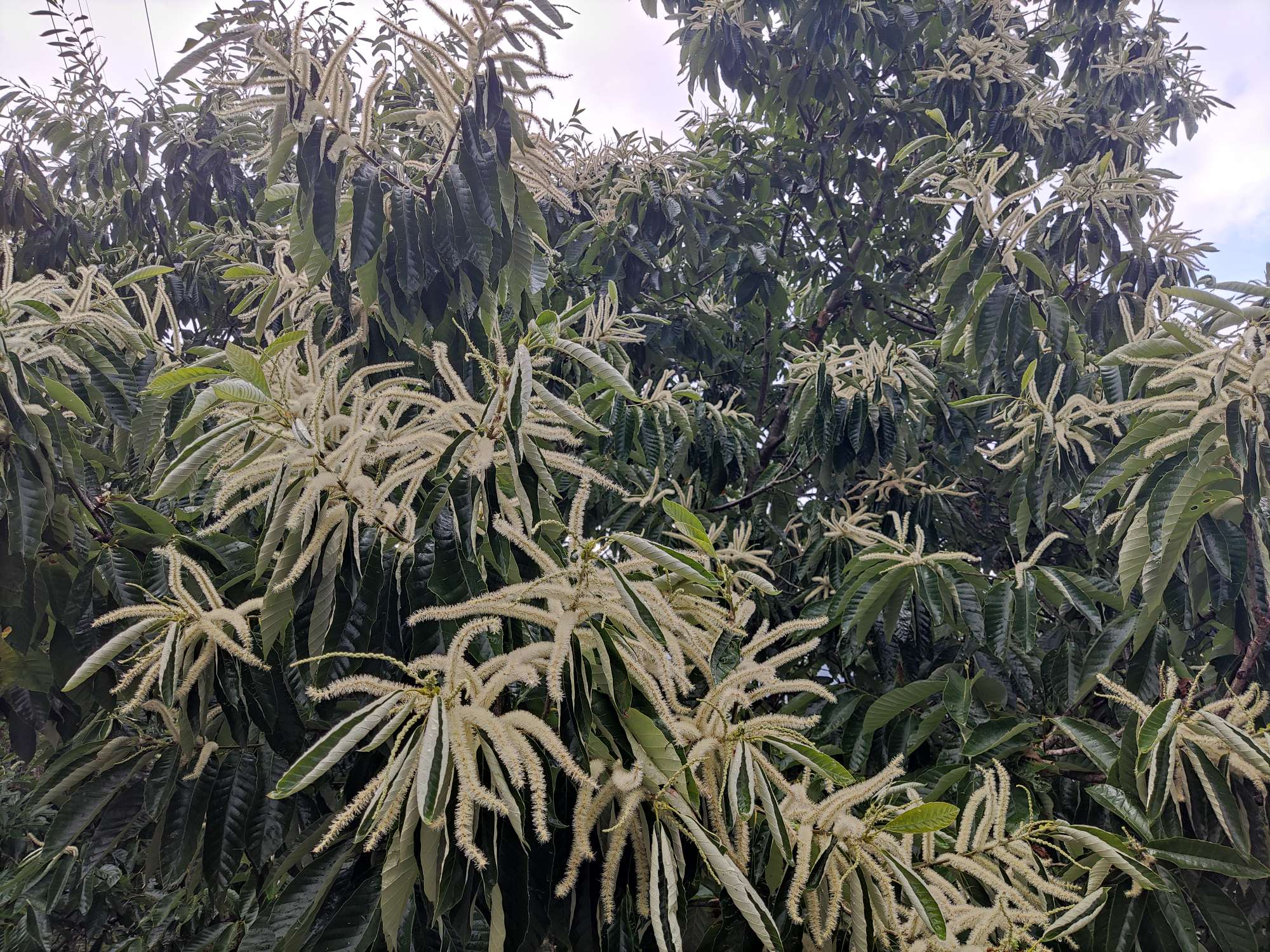 找露营旅行钓鱼搭子