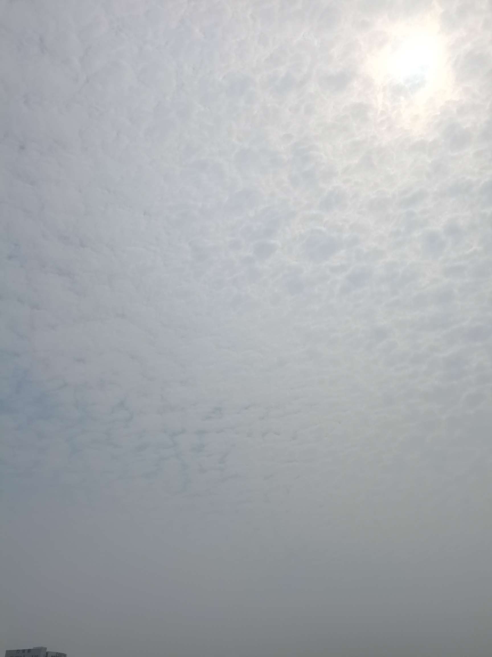 找游玩搭子