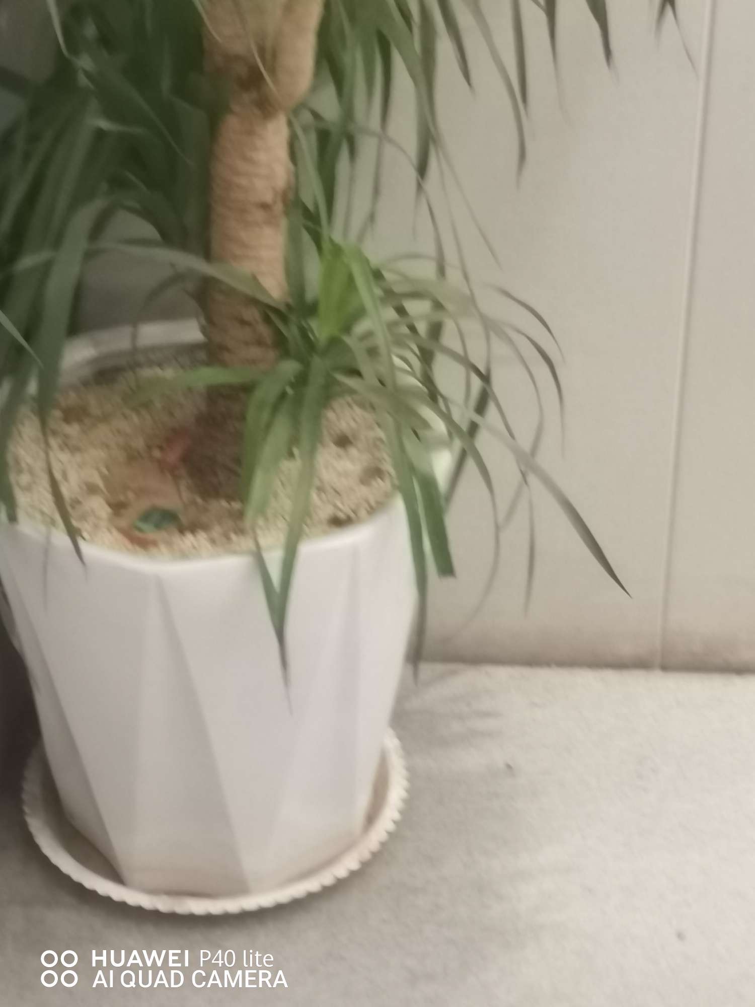 找爬山搭子