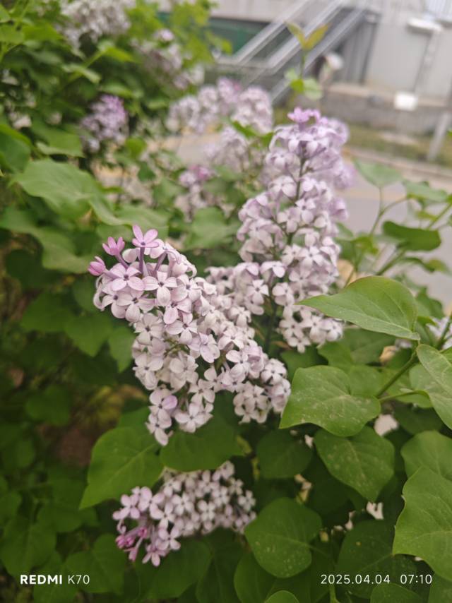 找女朋友搭子