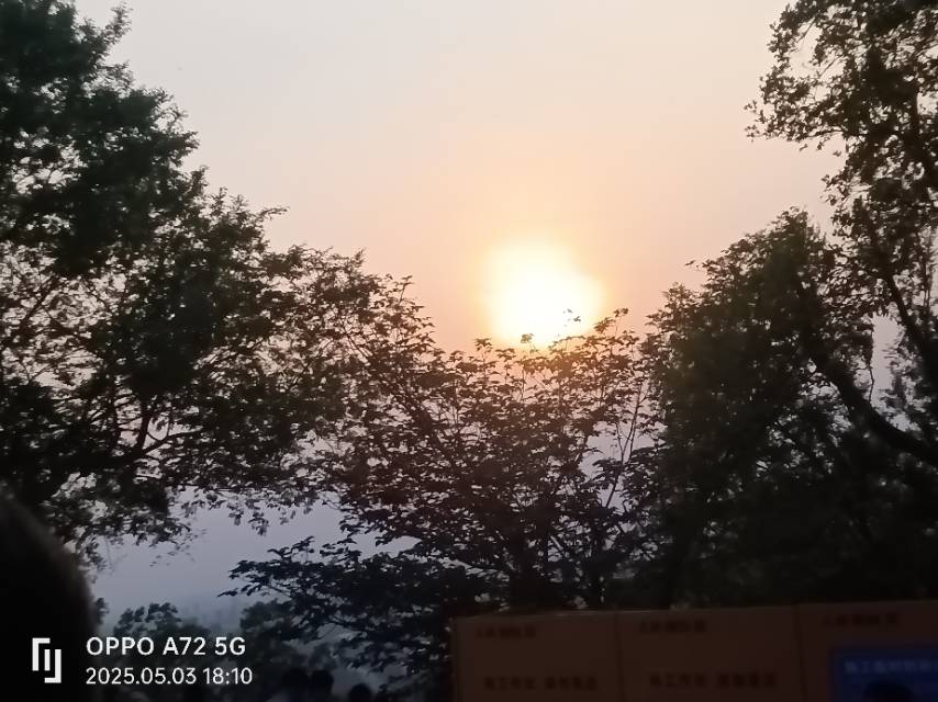 找露营搭子