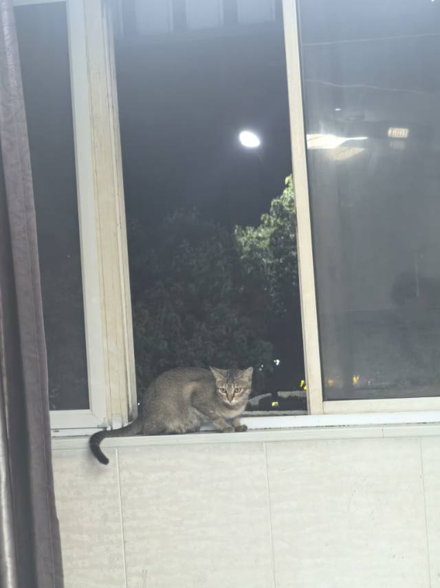 找台球搭子