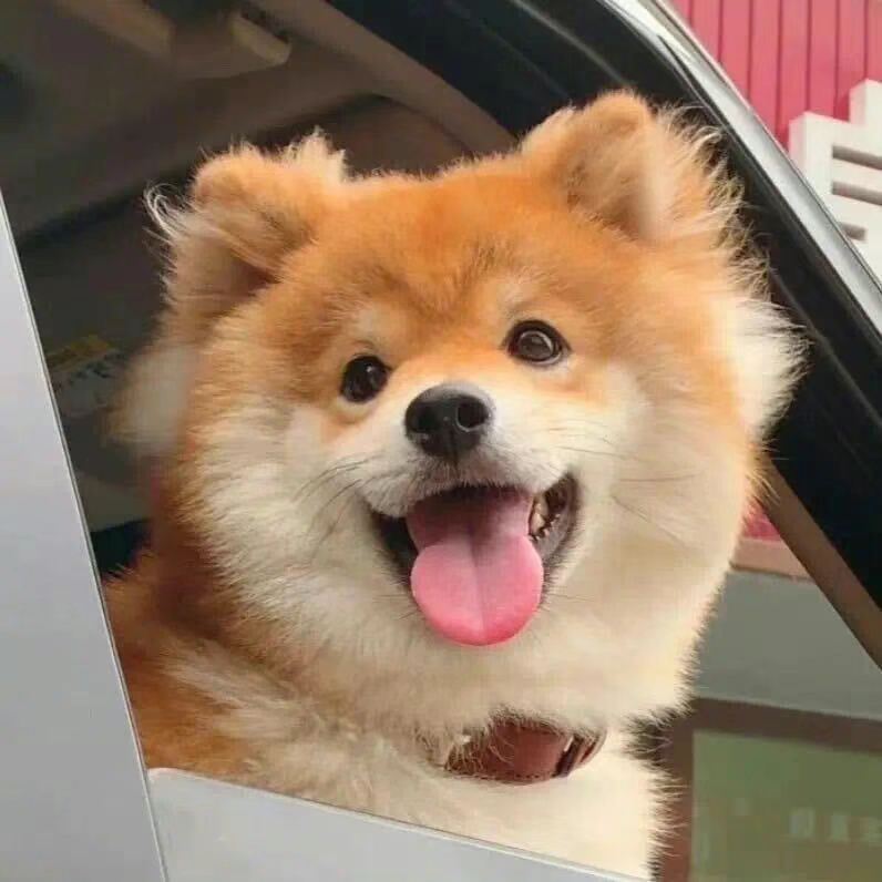 找运动搭子