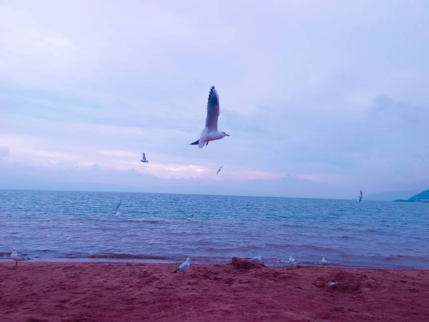 找旅游搭子