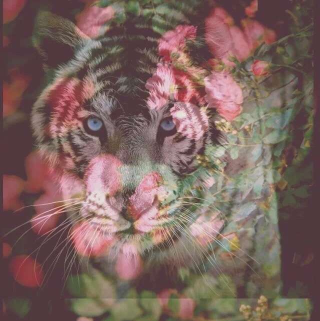 找运动搭子
