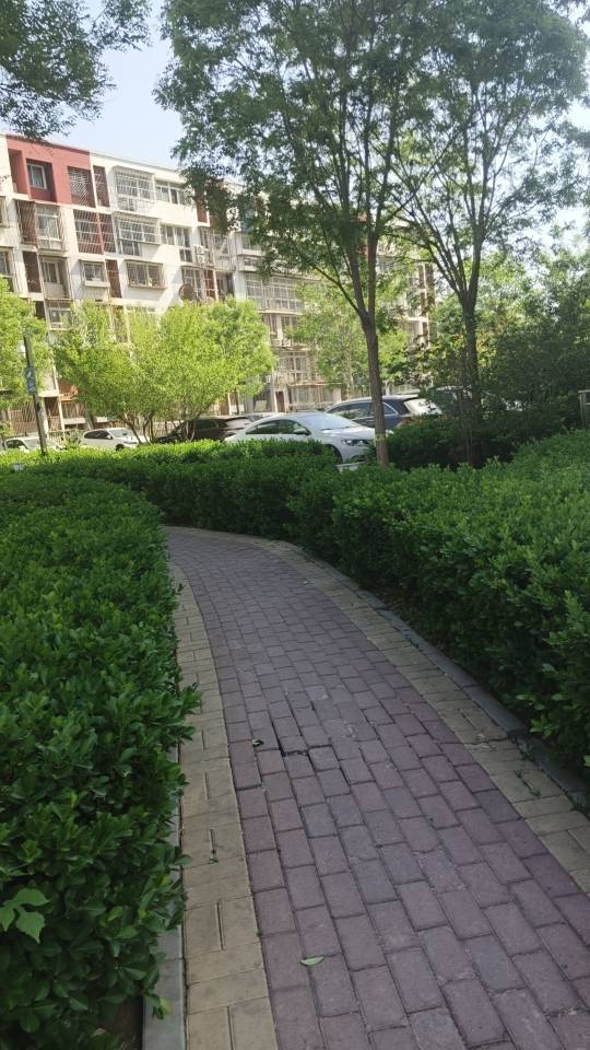 找台球搭子