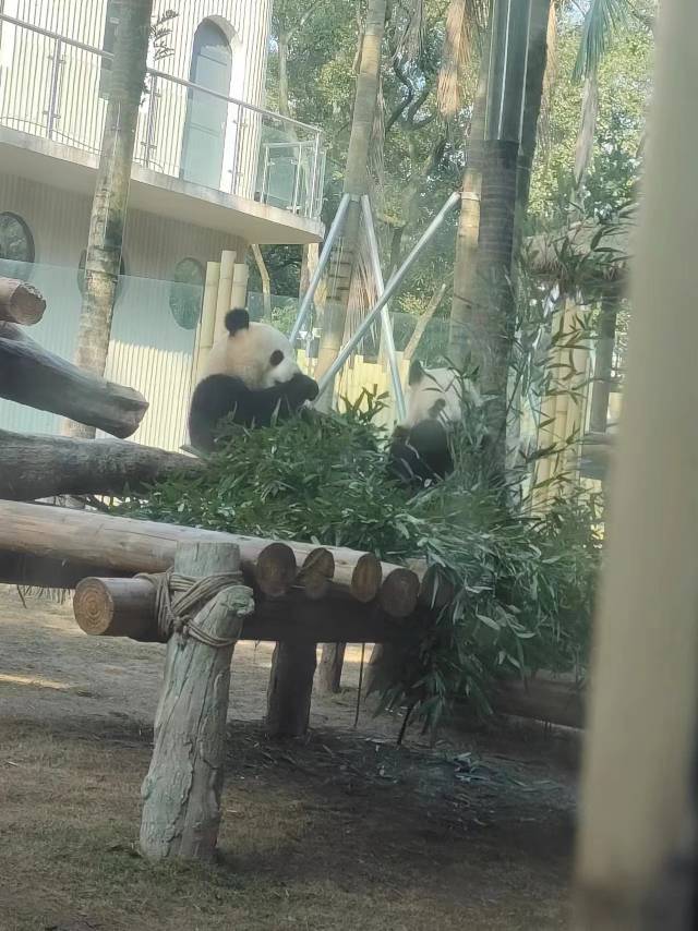 找运动搭子