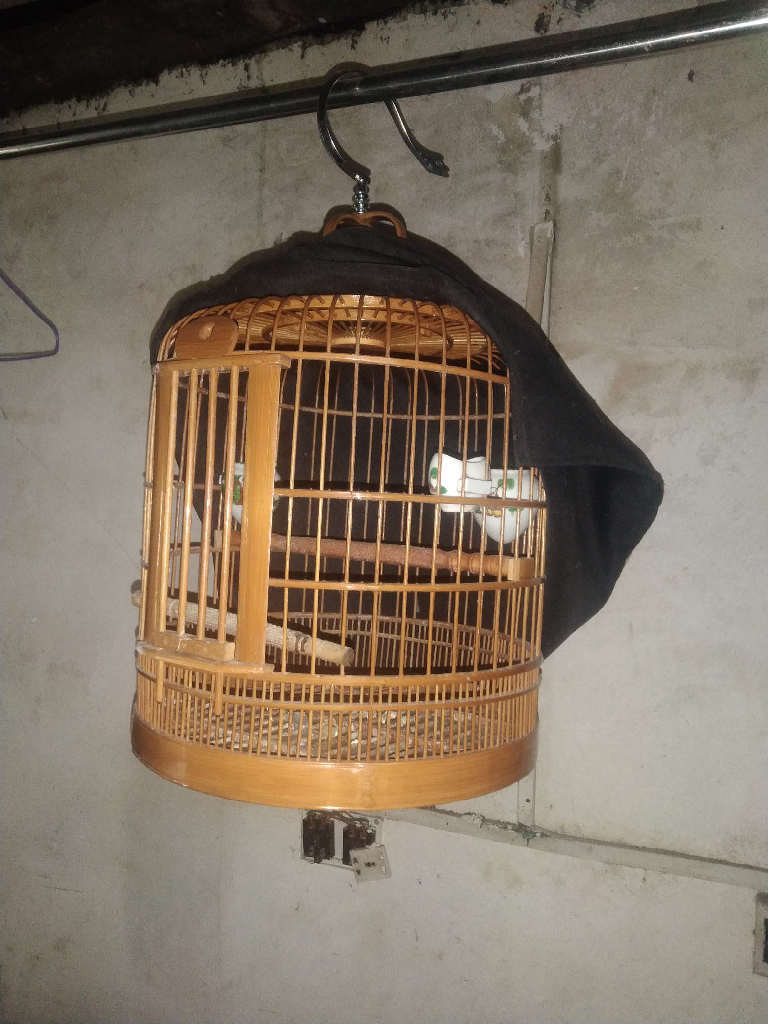 找钓鱼搭子