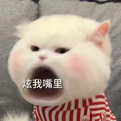 找运动搭子