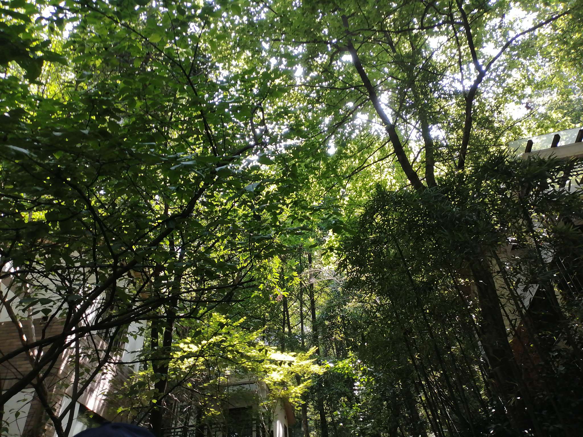 找业余生活搭子