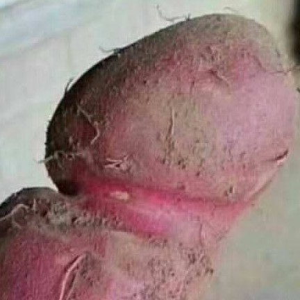 找聊天搭子