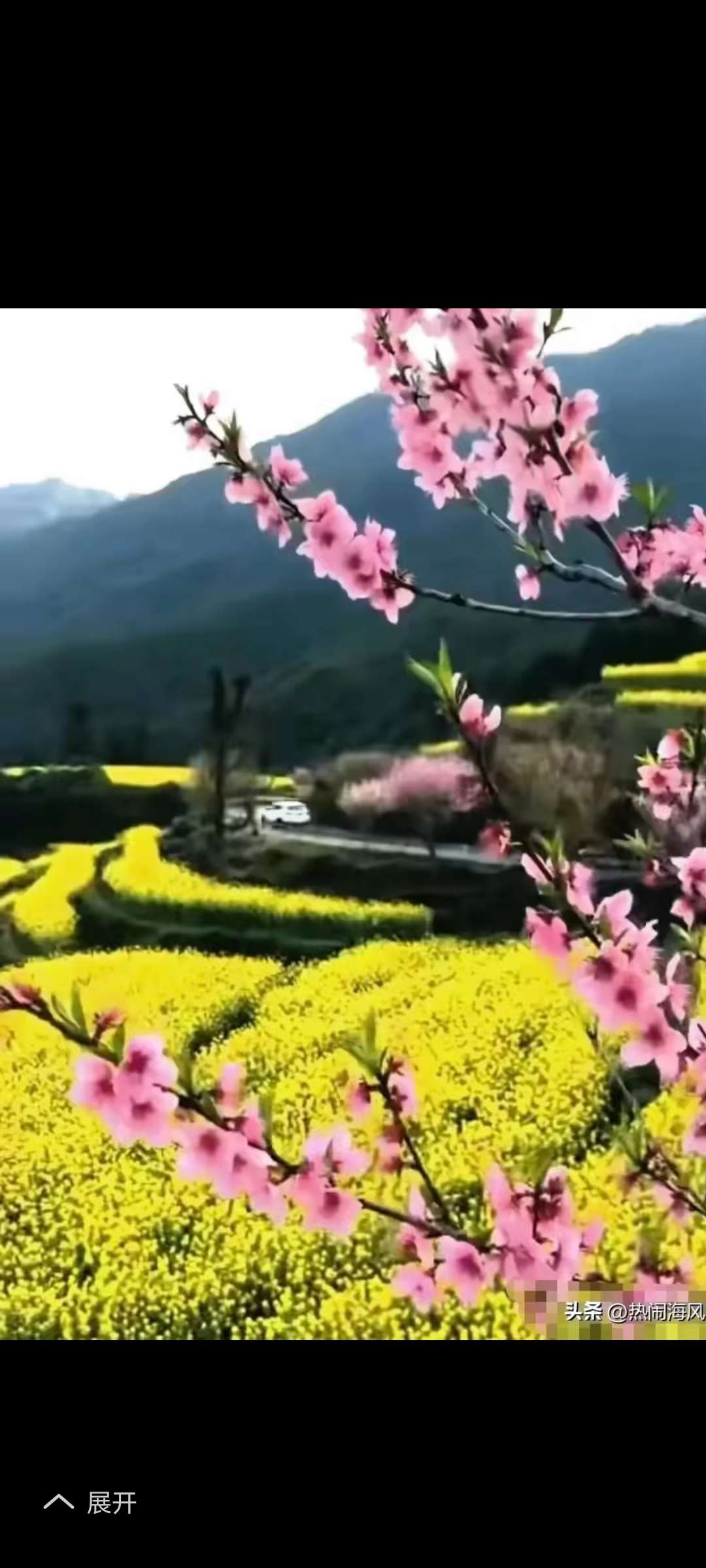 找旅行搭子