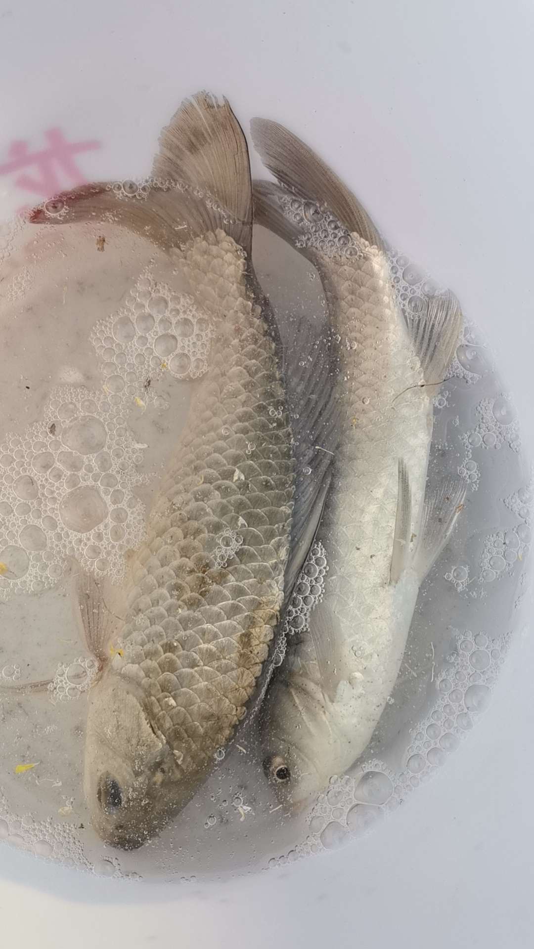 找聊天搭子
