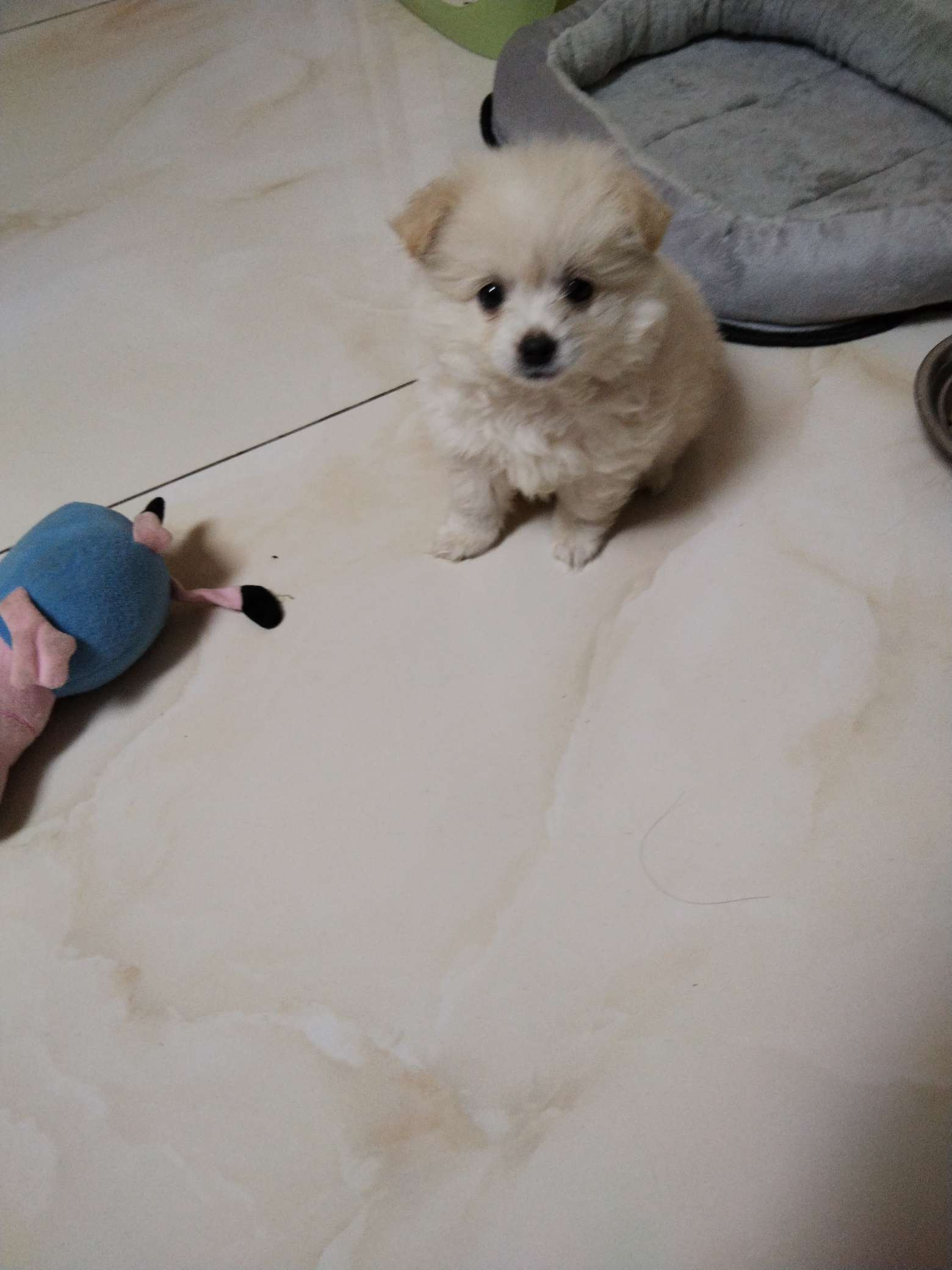 找聊聊天搭子