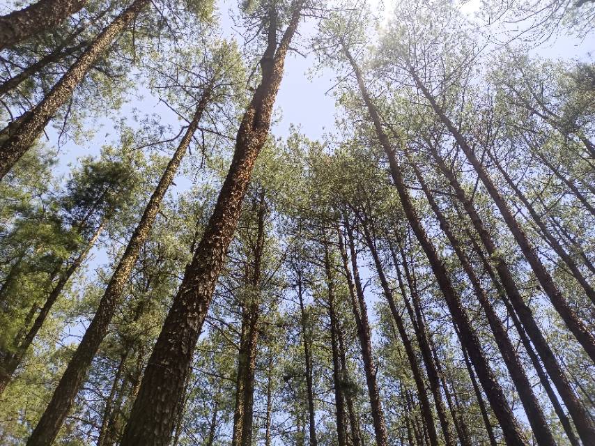找旅游搭子
