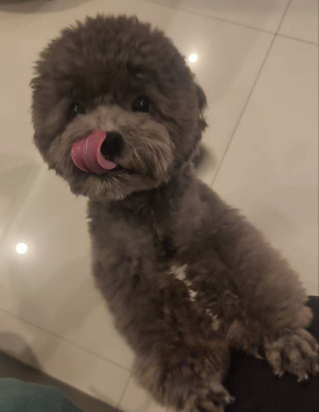 找k歌搭子