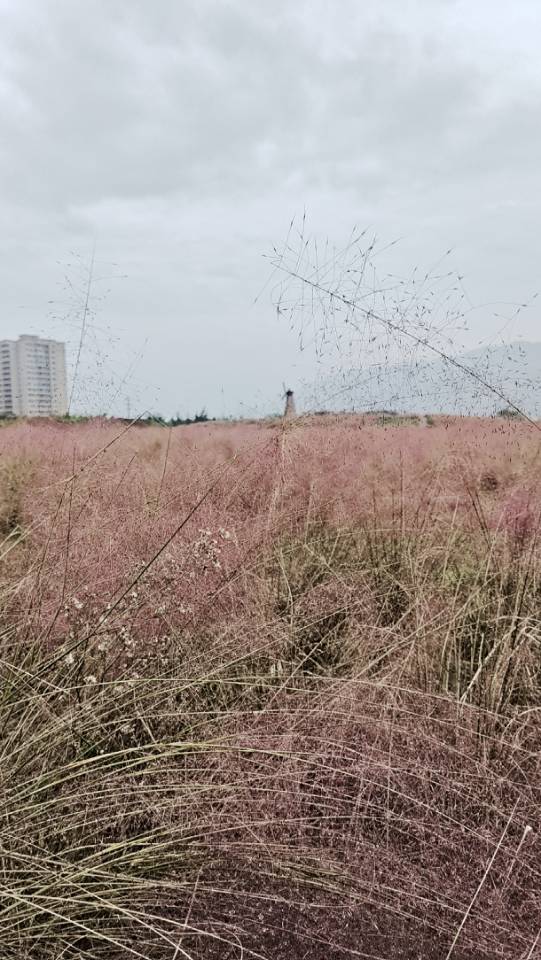 找游戏搭子