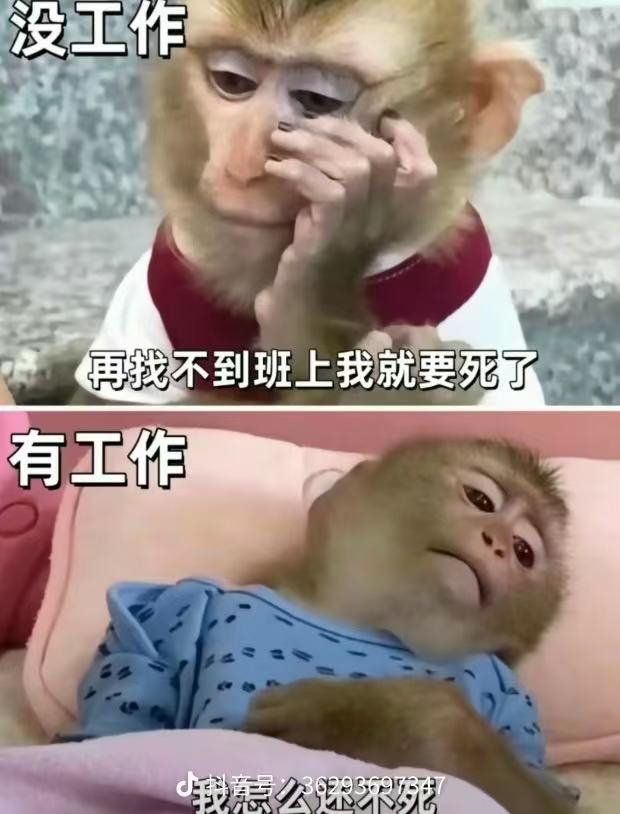 找逛海边搭子