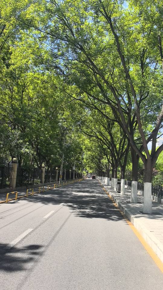 找出差搭子