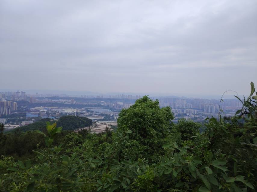 找聊天搭子