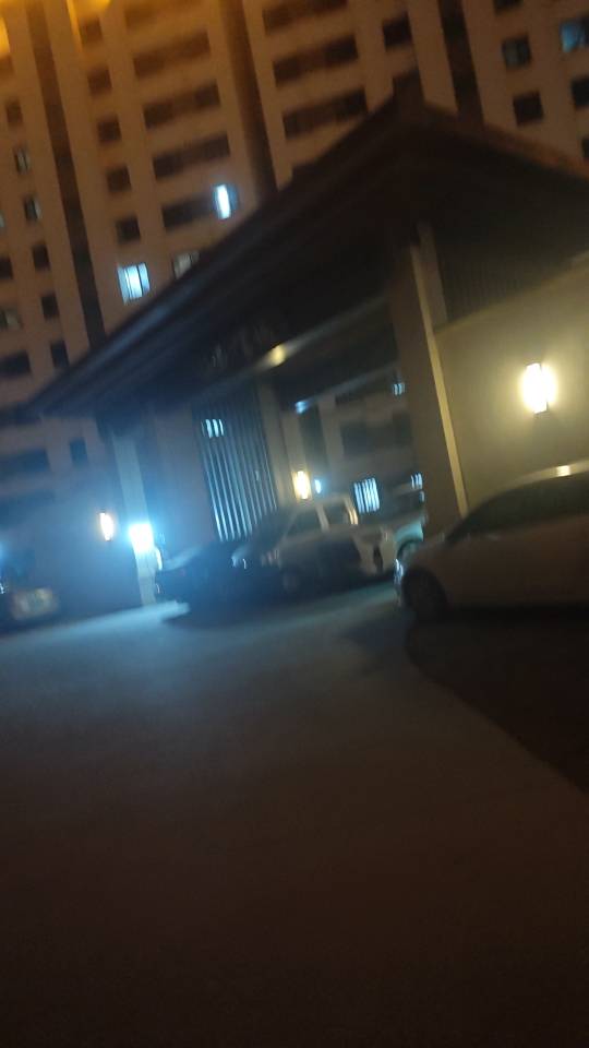 找恋爱搭子