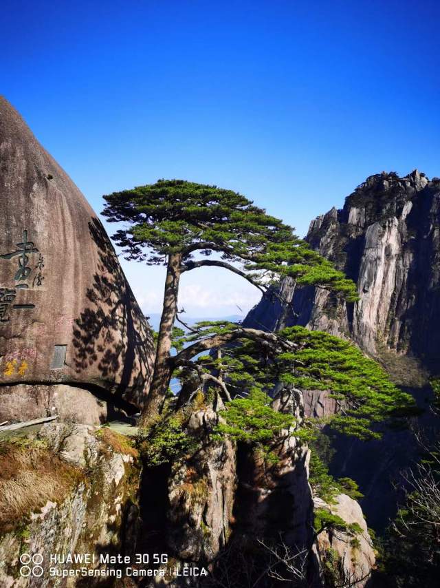 找旅游搭子