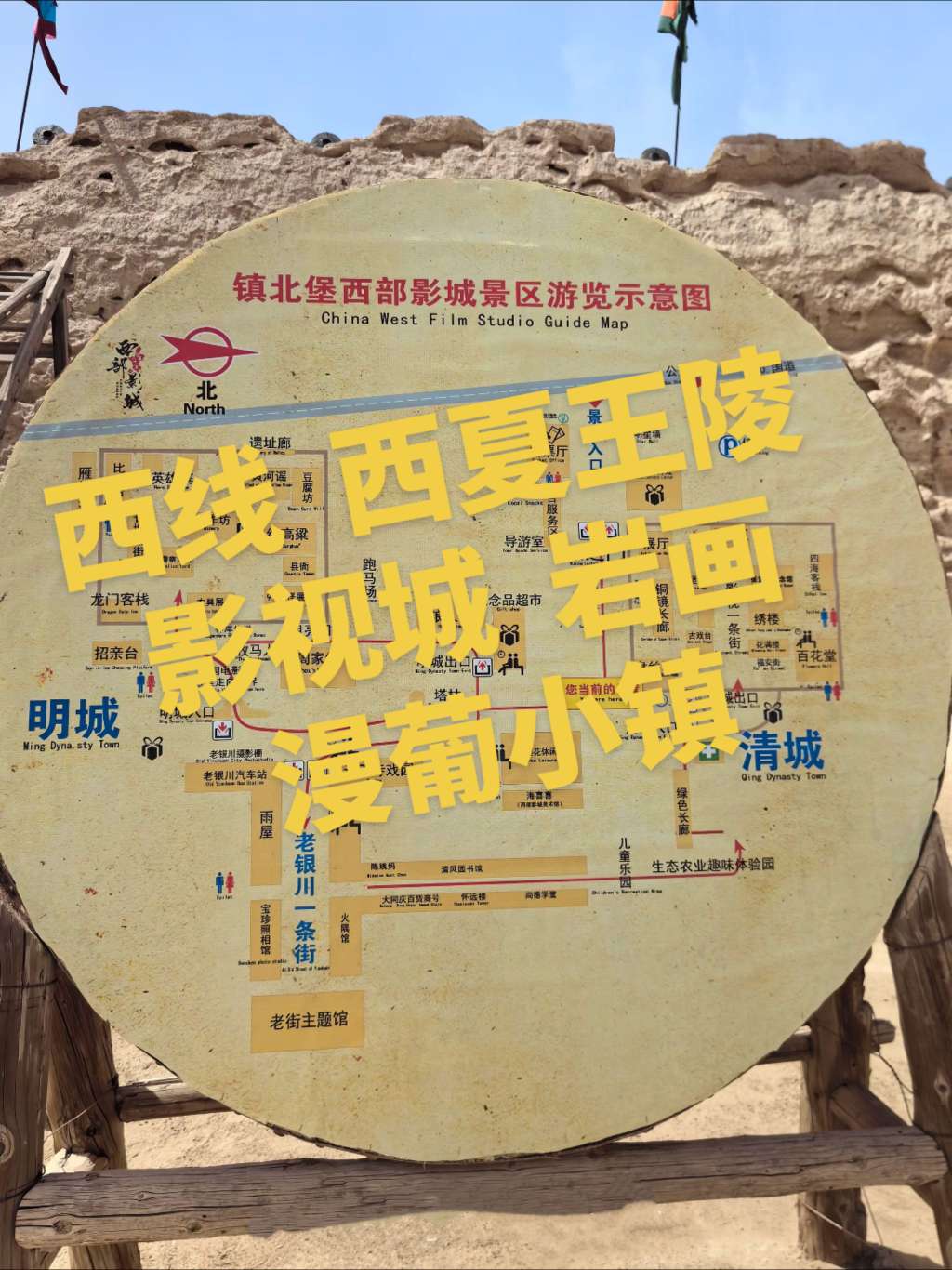 找陪伴搭子