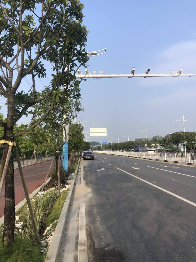 找跑步搭子