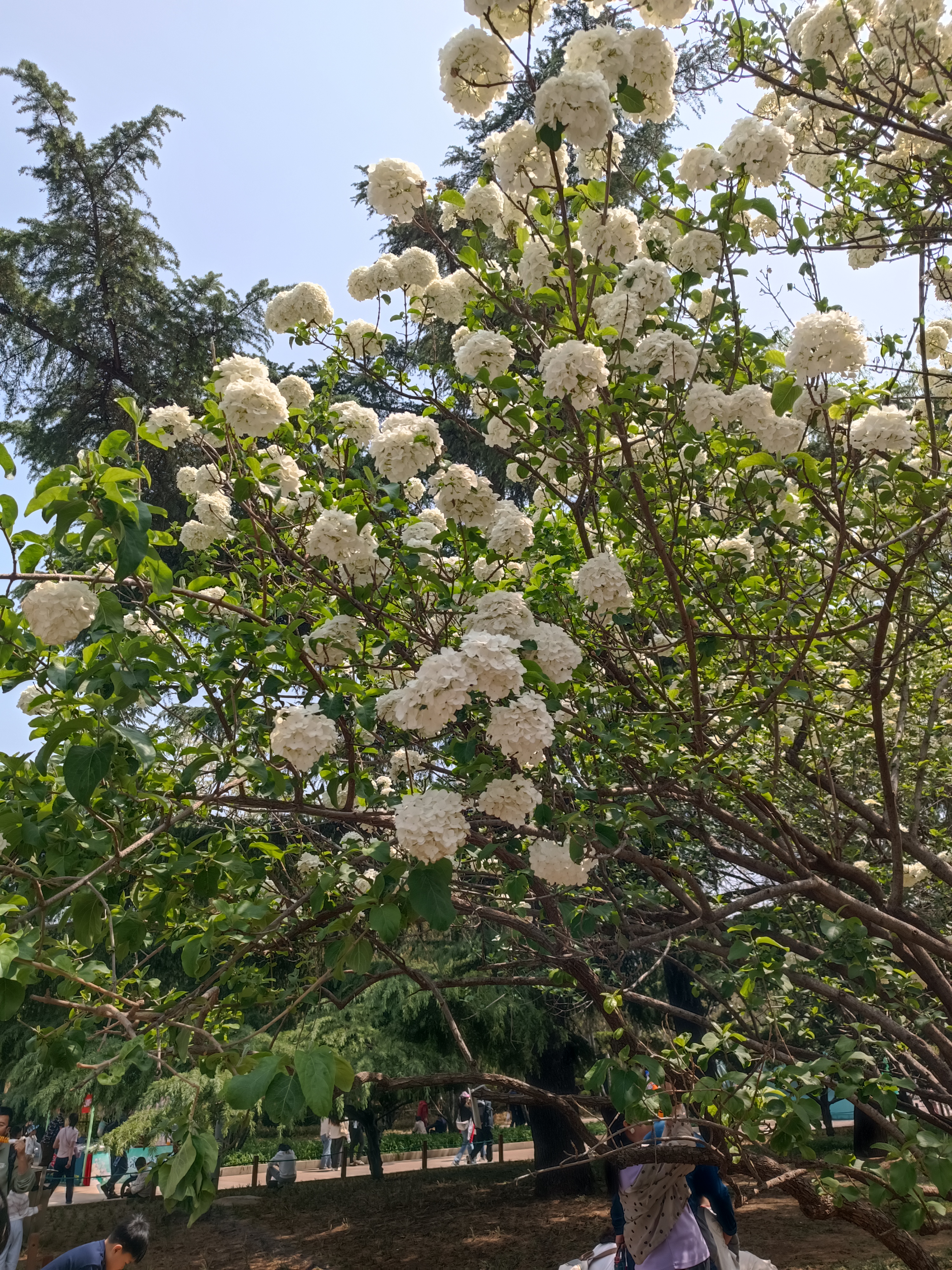 找陪伴搭子