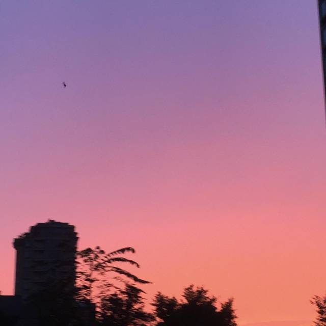 找运动搭子