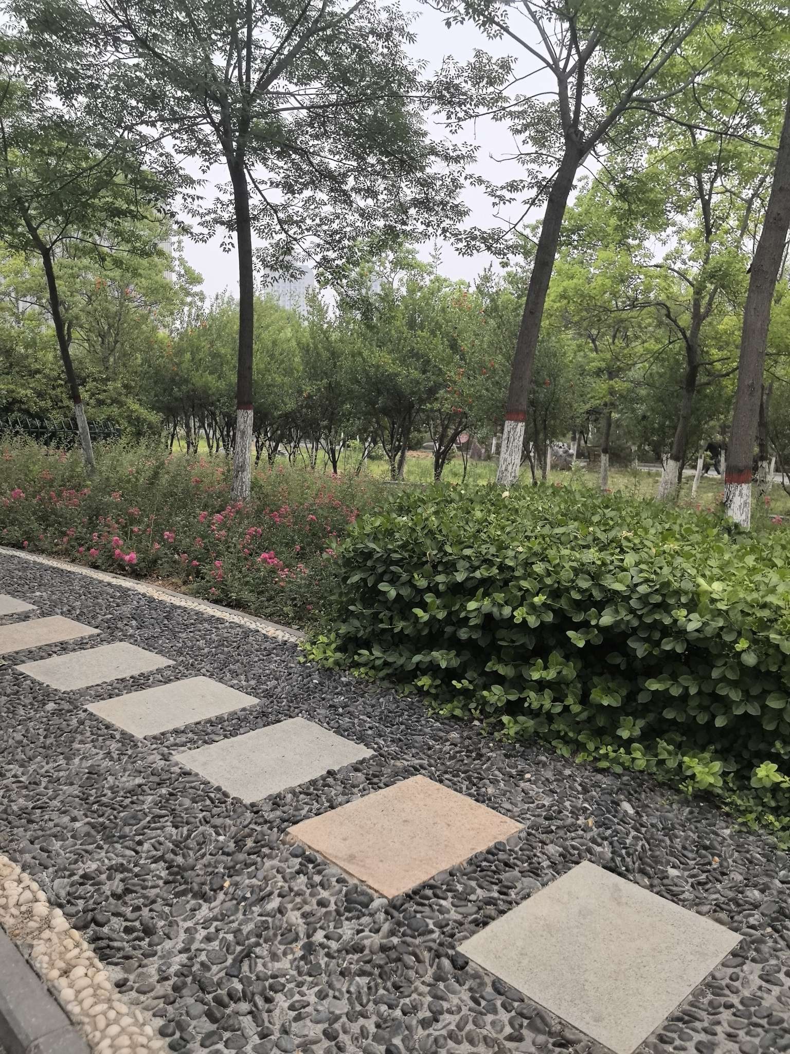 找旅行搭子