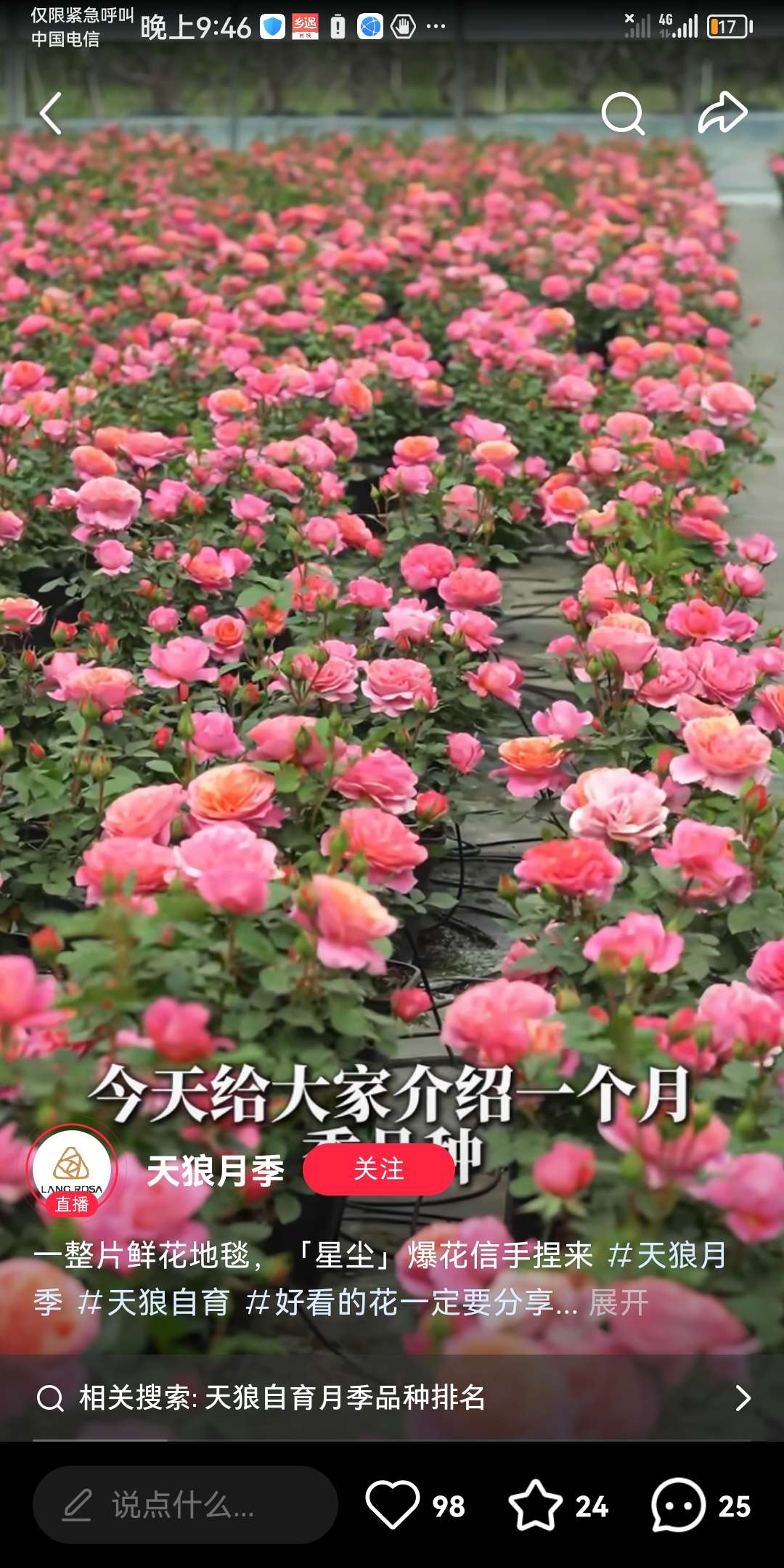 找园艺爱好者的搭子
